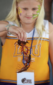 Cajuns cook up a fais-do-do