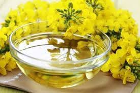 Huile De Canola Une Huile Sante Ou Pas
