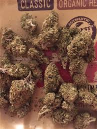 (if you buy 4, get the fifth one free!) *price adjustment applied prior to delivery. Cali Gold Aka California Gold Marijuana Strain Information Leafly