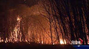 Lane county park reservations and passes. Parkland County Wildfires Prompt Local State Of Emergency Evacuations Globalnews Ca