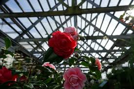 Sits on seven acres right in the middle of longview, texas. Garden Center New Orleans La Tpg The Plant Gallery