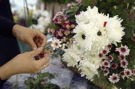 Up to 35% off at northwest vision development center. Dog Flowers Flower Arrangements Made In The Shape Of Dogs The First Time Dog Owner Guide