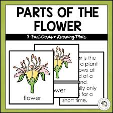 Helps you prepare job interviews and practice interview skills and techniques. Montessori Flower Arranging Lessons For Children Activities Materials Tips For Toddlers Preschoolers Montessori Nature