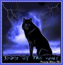 Find the perfect wolf picture from over 2,000 of the best wolf images. 399 Wolf Gifs Gif Abyss