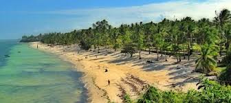 Ivory coast's economy has also been growing with its population; 4 000 Per Day For Gsm Terminators In Ivory Coast One Of The Best African Countries For Voip Business En Antrax