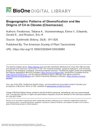 Image result for Cleome schimperi