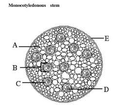 We did not find results for: Biology Questions And Answers Form 2 High School Biology Tests Exams