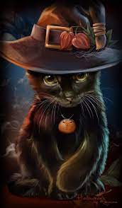 Pin By Mo Feregrino On Cats Halloween Cat Cute Animal Drawings Cute Cats