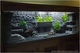 21 Best Aquascaping Design Ideas To Decor Your Aquarium Tips Inside Homelovers Aquarium Backgrounds Fish Tank Design Diy Fish Tank