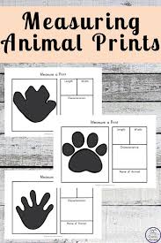Measure An Animal Print Via Animal Activities For Kids Animal Print Preschool Planning