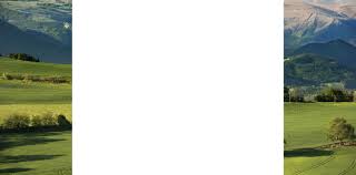 Prima inregistrare a imobilului, dezmembrare/comasare, trasare, repozitionare. Documente Necesare Almaricad Rubin