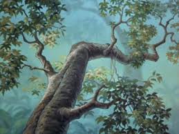 Animation Backgrounds August 2007 In 2020 Jungle Book Animation Background Disney Background