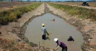 Selain itu, pengolahan tanah ladang sangat minimum, sehingga produktivitasnya bergantung pada ketersediaan. Kekurangan Bekalan Air Cegah Sebelum Terlalu Buruk Malaysia News