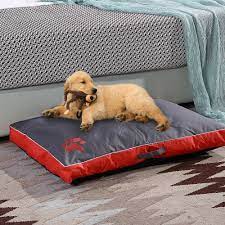 Unlike the outfit you picked out for your senior prom 20 years ago, it's a choice you won't regret. Washable Big Dog Bed Pet Soft Large Dog Cushion Kennel Pet Cozy Sofa Puppy Mat Cat Bed Husky Labrador Teddy Lounger Pet Bedding Houses Kennels Pens Aliexpress