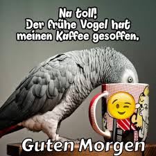 Pin Von Oldpoltis Auf Guten Morgen Spruche In 2020 Guten Morgen Guten Morgen Lustig Schone Guten Morgen Spruche