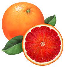Pin On Orange Illustrations