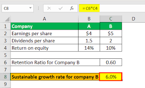 Sustainable Growth Rate Formula Step By Step Calculation