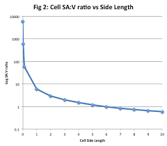 Unit 10 & 11 test. Cell Size Surface Area And Volume