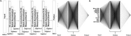 Ml has been witnessing a neural revolution1 since the mid. Application Of A Convolutional Neural Network For Predicting The Occurrence Of Ventricular Tachyarrhythmia Using Heart Rate Variability Features Scientific Reports