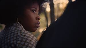 alex bickel — Color Collective