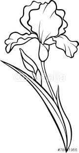 Iris Flower Silhouette Vector Tattoo Illustration Stock Image And Royalty Free Vector Files On Fotolia Com Pi Iris Painting Flower Silhouette Iris Drawing