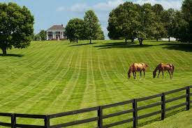 It is defined as the area of 1 chain (66 feet) by 1 furlong (660 feet), which is exactly equal to 1/640 of a square mile, 43,560 square feet, or exactly 4046.8564224 square meters. Acreage Calculator Find Acres Using A Map Or Land Dimensions