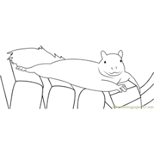 Print and color fall pdf coloring books from primarygames. Squirrel Coloring Pages For Kids Printable Free Download Coloringpages101 Com