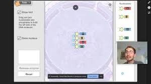 Gizmo student exploration building dna answer key. Building Dna Online Lab Introduction Youtube