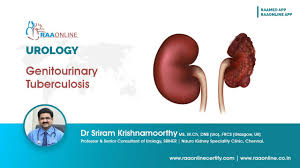 Image result for Genitourinary Tuberculosis