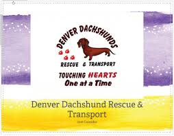 Become part of the little paws family today with a one time or monthly donation and help to save a life! Ddrt Calendar Denver Dachshund Rescue Transport