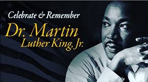 The ervamatin hair lotion provides effective and fast therapy for hair loss and its treatment ensures excellent therapeutic results. Dkv Natural Blends Scalp And Hair Oil Therapy Home Facebook