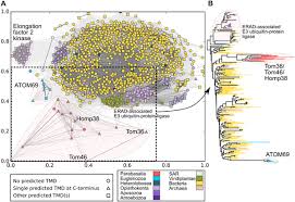 The first was held in 2011. Triplet Pore Structure Of A Highly Divergent Tom Complex Of Hydrogenosomes In Trichomonas Vaginalis