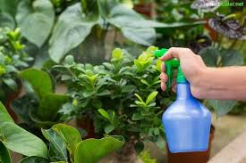 Bio Spritzmittel Gegen Schadlinge Und Pflanzenkrankheiten Selber Machen Pflanzen Pflanzen Pflege Schadlinge Im Garten