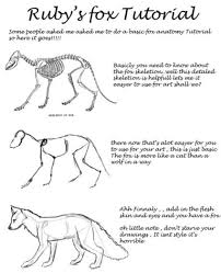 You've twisted the drawing off to one side without being aware of it. Animal Anatomy In Drawing References And Resources