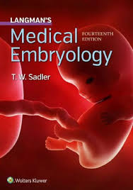 Langman S Medical Embryology 14th Edition Pdf Free In 2020 Medical Textbooks Medical Library Textbook