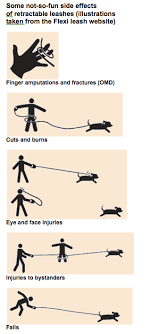 A Word On Retractable Leashes Doggie Academy