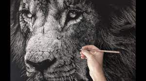 Showing how to draw a lion. Hyperrealistic Lion Drawing Time Lapse Youtube