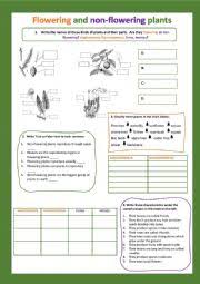 Download and use 60,000+ flowers stock photos for free. Flowering And Non Flowering Plants Ii Esl Worksheet By Cristinasuma
