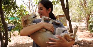 They gained more popularity worldwide after they started posting videos of their rescue on their youtube channel, animal aid unlimited, india. Animal Sanctuary In India
