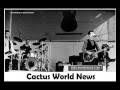 Записи сообщества поиск записей запись на стене. Cactus World News Discography Discogs