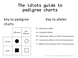 pedigree chart dominant or recessive practice pedigree chart