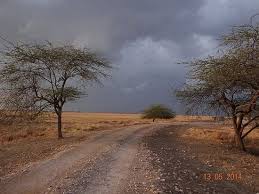 Brainly is the place to learn. Abiotic Factors In The Savanna Biology Dictionary