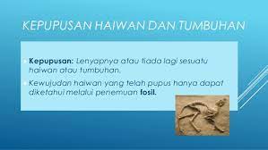 Identifikasi komponen sistem ac dan prinsip kerjanya 2. Sains Tahun 6 Unit 5 Pemeliharaan Pemuliharaan