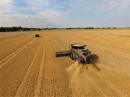 16:95 jmf pris 33:90 /kg st. Lantmannen And Svenskmarkning Extends Labeling Of Products From Kungsornen Axa Gogreen And Korvbrodsbagarn Lantmannen