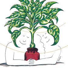 The ones who admire, love and respect nature. Mother Earth S Plantasia The Cult Album You Should Play To Your Plants Experimental Music The Guardian