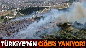 Jun 02, 2021 · süleyman eki̇n/antalya, (dha)antalya'da kaybolduktan 13 gün sonra toprağa gömülü cesedi bulunan duygu çelikten'in (30) katil zanlısı veli ünder (37), ömür boyu hapis cezasına. 1am83mczjqeorm