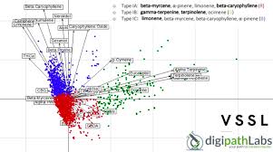 Classifying Cannabis Types By Terpenes Rather Than