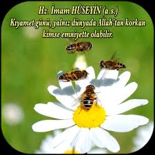 canan gunes adli kullanicinin hz imam ali ve ehlibeyt panosundaki pin iman allah sevgisi guzel soz