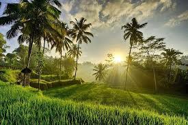 26 gambar pemandangan alam gunung pantai pedesaan dan hutan 01 04 2019 gambar pemandangan alam keindangan alam ini akan menghadirkan sebuah pemandangan alam yang indah dan menakjubkan seperti pemandangan alam di pedesaan gunung sawah laut dan sebagainya kita pun dianjurkan untuk mengucapkan masyaa allah untuk memuji dia yang maha besar 49. Alam Desa Yang Indah Kompasiana Com