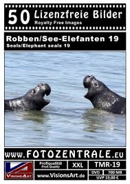 Hat mir ein freund geschickt Lizenzfreie Bilder Tiere Robben Usa Fotozentrale